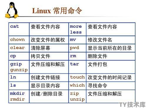 linux中命令自动补齐功能
